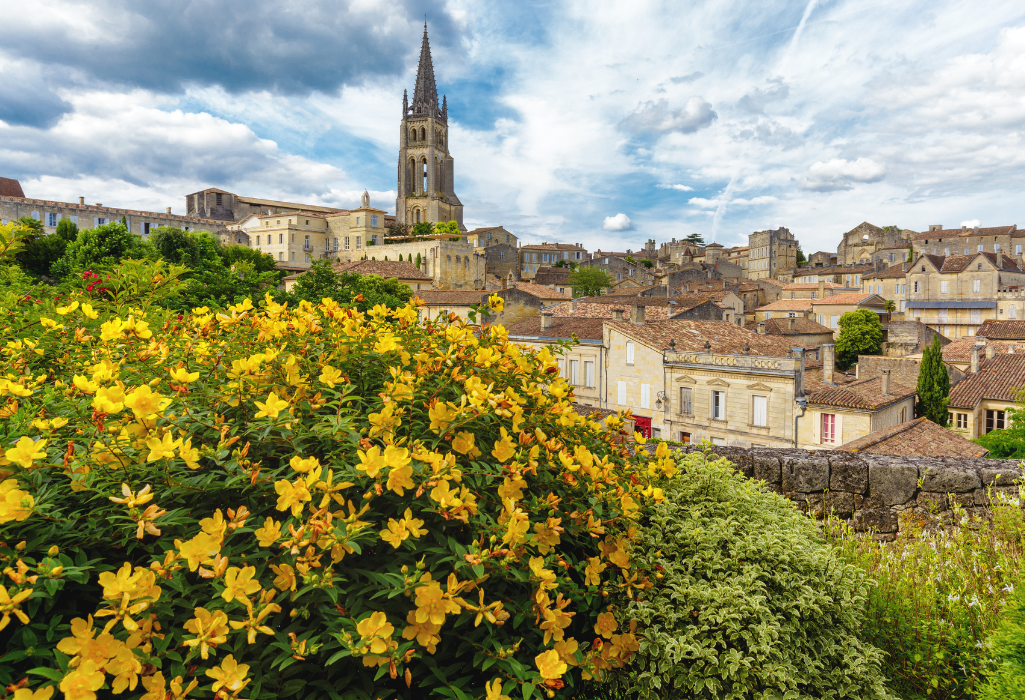 Wine Tour à Saint-Émilion : visite des petites propriétés cachées