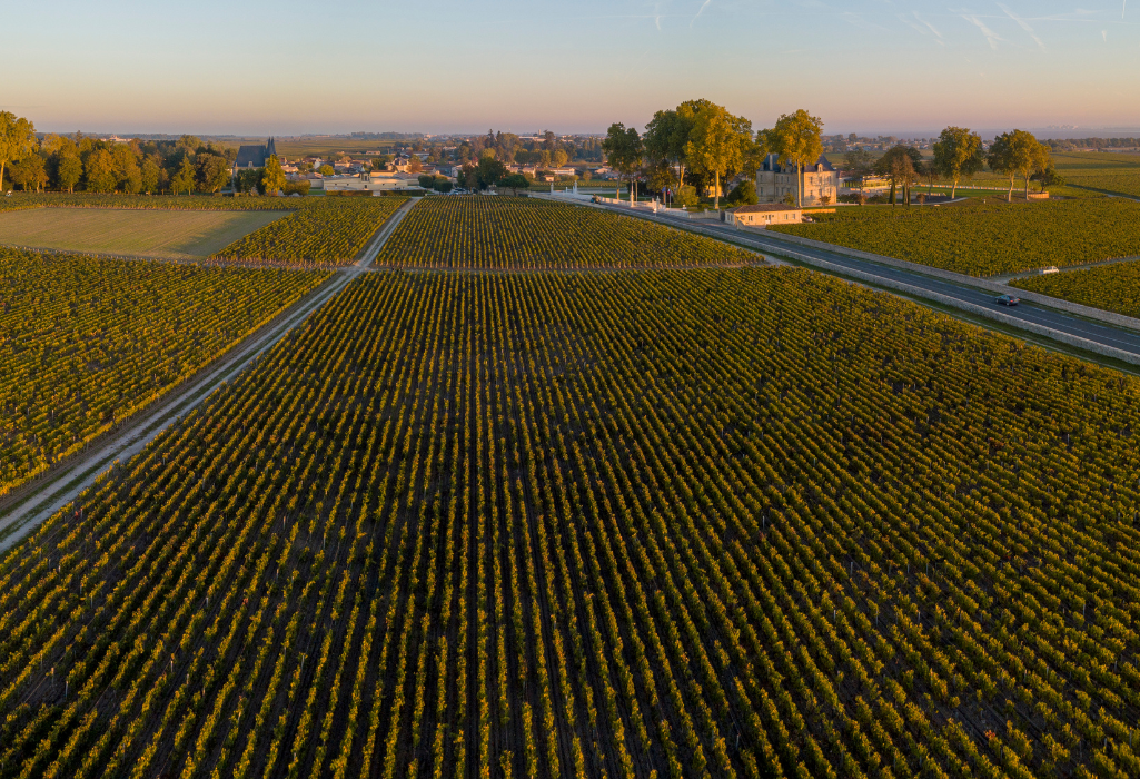 Wine Tour : visite de chais privés et dégustation exclusive de grands vins