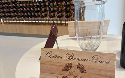 Wine Tour à Bordeaux et Instagram : les vignobles les plus photogéniques