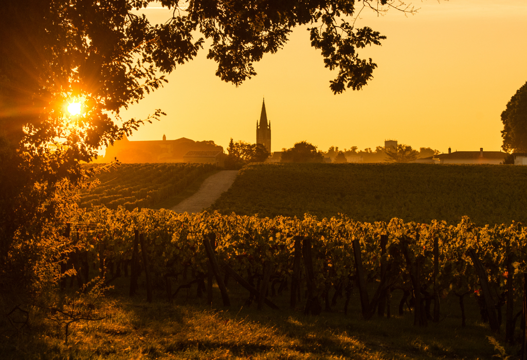 Wine Tour Saint-Emilion